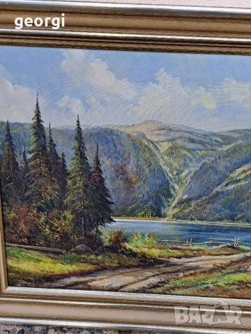 картина планински пейзаж маслени бои върху платно , снимка 4 - Картини - 53861518