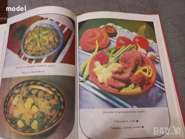 Българска национална кухня - Любомир Петров, Николай Джелепов, Евгени Йорданов, Снежина Узунова, снимка 4 - Други - 49442358