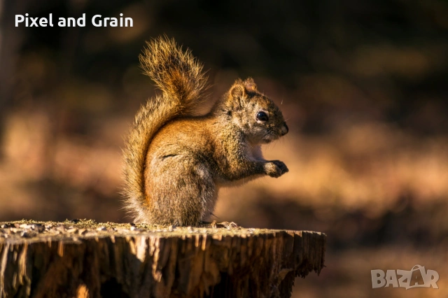 Nikon AF-S 55-200mm f/4-5.6G ED VR обектив Никон, снимка 13 - Обективи и филтри - 53671254