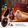 Нагревателна лампа за домашни птици - пилета инфрачервена крушка 250 W , снимка 1