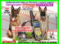 Електронен нашийник за куче, снимка 1 - Стоки за кучета - 39653518