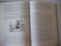 Книга "Заточка и доводка режущего инстр.-А.Каратыгин"-272с, снимка 7