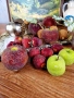 Декоративни плодове, снимка 9