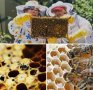 Пчеларски инвентар и консумативи за пчеларството Петлето гр. Свищов