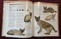 Енциклопедия на котките / Encyclopedia of Cats, снимка 9