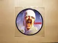 Vinyl/Lp-грамофонни плочи - QUEEN/GREAT WHITE/SCORPIONS - Picture Discs, снимка 11