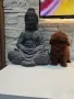Пудел Той/Poodle Toy, снимка 3