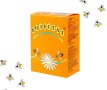 Нозестат разтвор срещу нозематоза при пчелите, снимка 1 - Други стоки за животни - 22716116
