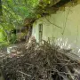 Къща в село Плаково Област Велико Търново , снимка 15