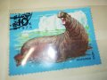 МАРКА 10 1978 СССР МОРСКОЙ СЛОН 1303231548, снимка 5