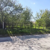 Парцел в село Мировци, снимка 2 - Парцели - 42094715