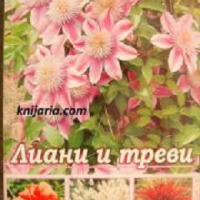 Голяма енциклопедия на цветята том 4: Лиани и треви, снимка 1 - Специализирана литература - 36482830