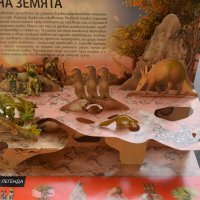 Дивите животни Пътешествие през дивата Африка 3D пътешествия, снимка 3 - Детски книжки - 41289403