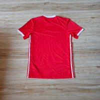 Оригинална мъжка тениска Adidas Climalite x S.L. Benfica / Season 19-20 (Home), снимка 3 - Тениски - 41941097