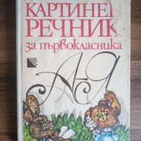 Картинен речник за първокласника, снимка 1 - Учебници, учебни тетрадки - 40954978