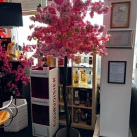 Изкуствени дръвчета японска вишна, снимка 17 - Градински цветя и растения - 40157119