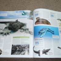 Oceans The Definitive Visual Guide 2015, снимка 11 - Енциклопедии, справочници - 42212354