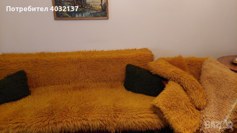 Родопски китеници, снимка 1