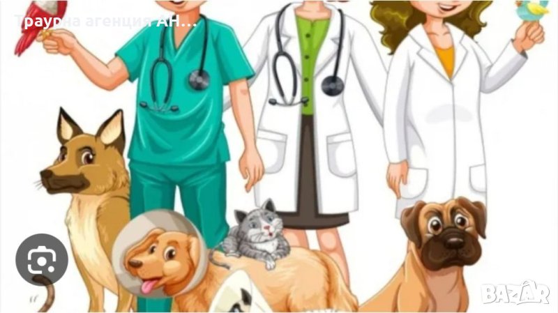 Домашно посещение на ветеринарен лекар , снимка 1