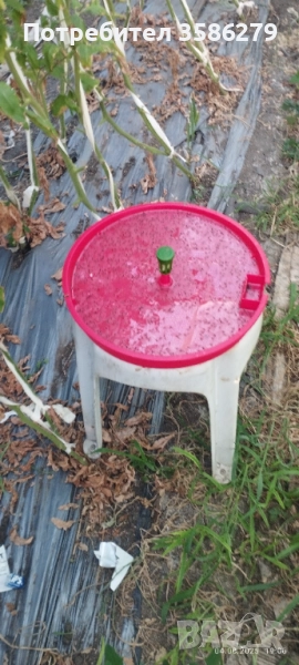 капан за тута абсолюта-доматен миниращ молец, снимка 1