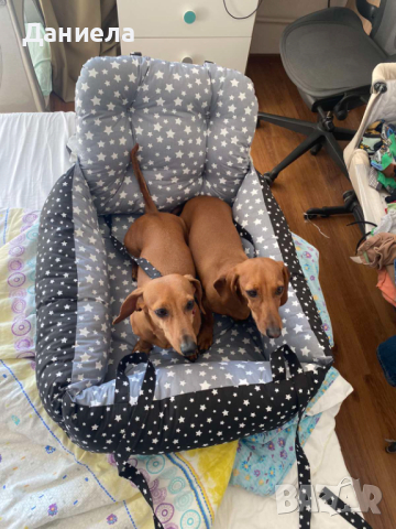 Столче за кола за куче , снимка 4 - За кучета - 44724842