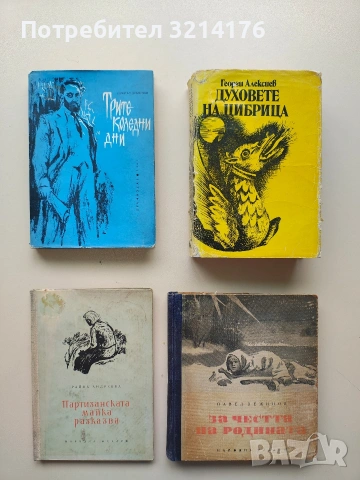 Партизанската майка разказва. Спомени за Валентин Андреев - Райна Андреева