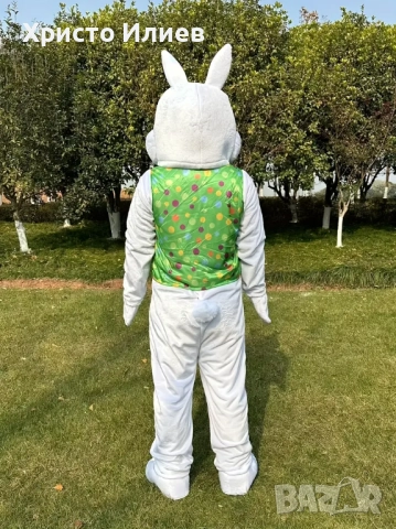 Парти плюшен костюм за рожден ден Заек Мечка Панда Куче Кенгуру, снимка 5 - Детегледачки, детски центрове - 51798101