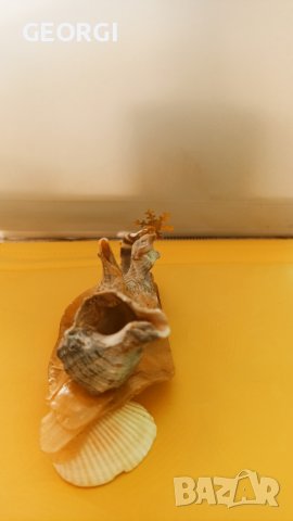 Фантазии, ръчна изработка с морски раковини, снимка 6 - Ръчно изработени сувенири - 42314530