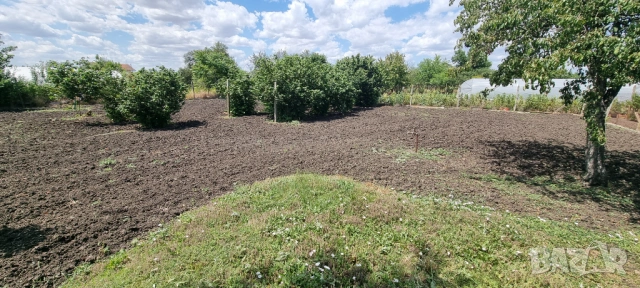 Парцел в регулация, бунгало, ток, вода, сондаж, овощни дръвчета., снимка 9 - Парцели - 53813164