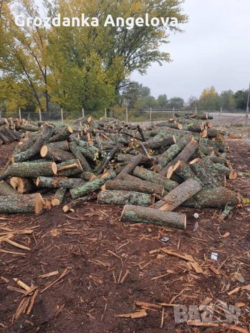 Дърва за огрев , снимка 8 - Дърва за огрев - 31555793