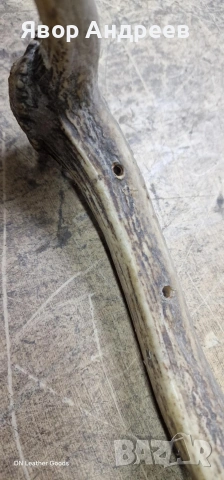 еленови рога, снимка 2 - Декорация за дома - 53062639