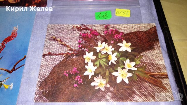 ЛОТ 4 СТАРИ ПОЩЕНСКИ КАРТИЧКИ ТЕМА ПРАЗНИЧНИ ЧЕСТИТКИ ПРОЛЕТ ЦВЕТЯ НОВА ГОДИНА 6558, снимка 2 - Филателия - 38790477