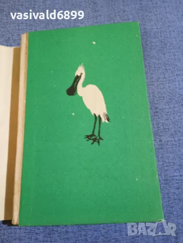 Петър Славински - Птици долитат при нас , снимка 4 - Българска литература - 48735984