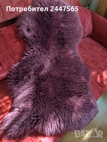 Естествена овча кожа., снимка 2 - Декорация за дома - 50928234
