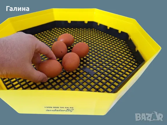 Инкубатори с влагомер Официалният вносител за БГ Cleo 5/Клео 5., снимка 5 - За селскостопански - 38693261