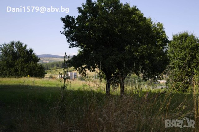 Давам под наем УПИ 1373кв.м, снимка 2 - Парцели - 42435891