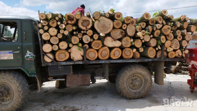 Дърва за огрев , снимка 6 - Складови работници - 33421505