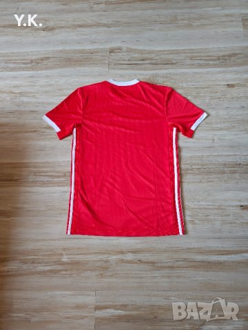 Оригинална мъжка тениска Adidas Climalite x S.L. Benfica / Season 19-20 (Home), снимка 3 - Тениски - 41941097