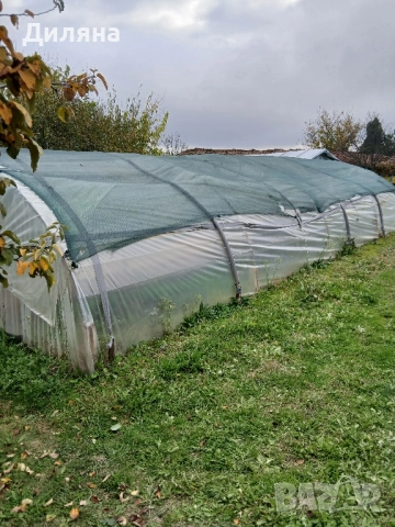 оранжерия, снимка 3 - Оранжерии - 52385900