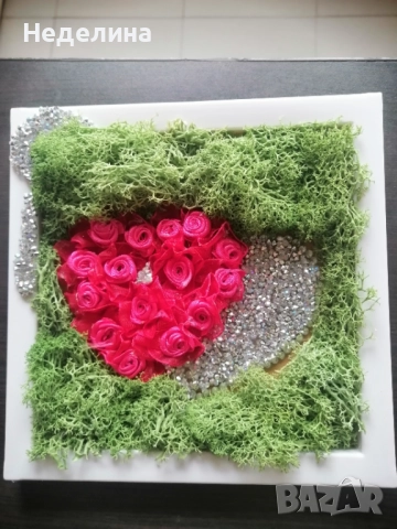 Картини с мъх и цветя , снимка 8 - Картини - 52079612