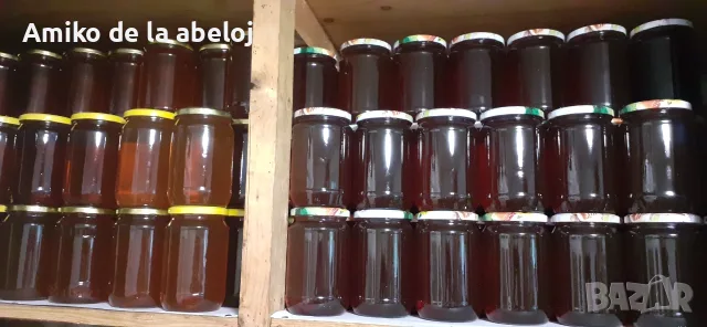 Продавам пчелен мед, добит от собствени пчелни семейства, снимка 4 - Пчелни продукти - 55763836