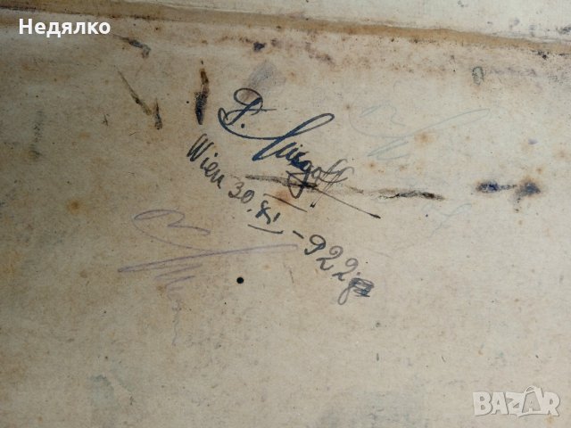 Колекция на IG Farbenindustrie,1931г, Опенхаймер , снимка 15 - Антикварни и старинни предмети - 36005916