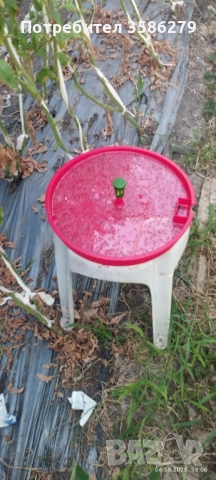 капан за тута абсолюта-доматен миниращ молец