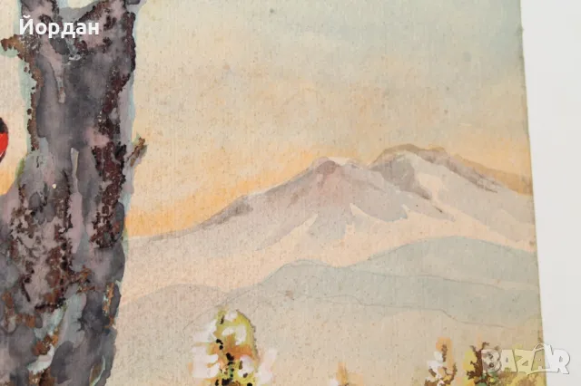 Акварел /автор-Никола Пилчев/ ''Кълвач'', снимка 7 - Картини - 49131527