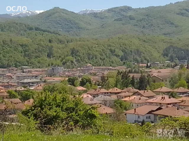 Продава парцел в Троян, снимка 4 - Парцели - 18645626