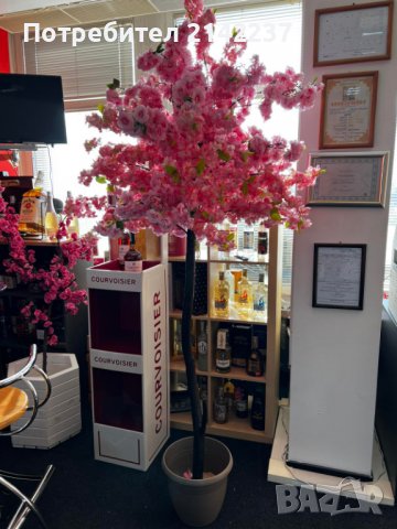 Изкуствени дръвчета японска вишна, снимка 17 - Градински цветя и растения - 40157119