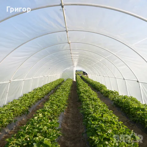 Найлон LIRSA за оранжерии , снимка 6 - Огради и мрежи - 48902884