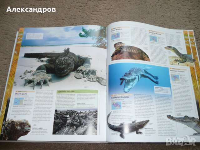 Oceans The Definitive Visual Guide 2015, снимка 11 - Енциклопедии, справочници - 42212354