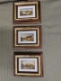 Тройка картини с рамки от дърво, снимка 3