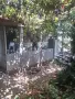 Продава се имот в село Каменец, област Плевен, снимка 9